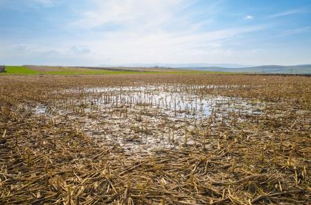 DIRECTIVE NITRATES : Dérogation période épandage et intercultures 